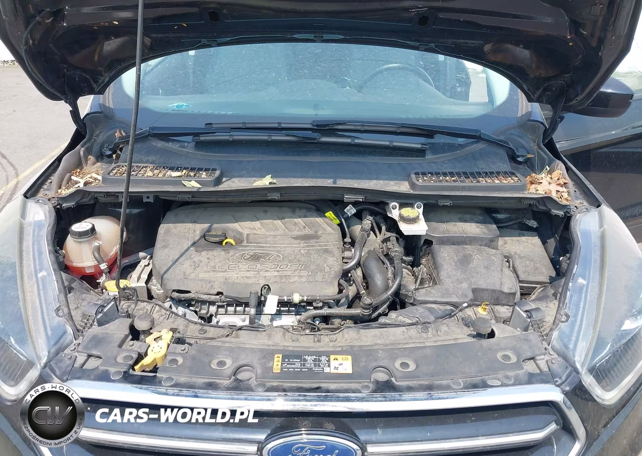 2017 Ford Escape Se VIN:1FMCU0GD0HUC95398 - 10