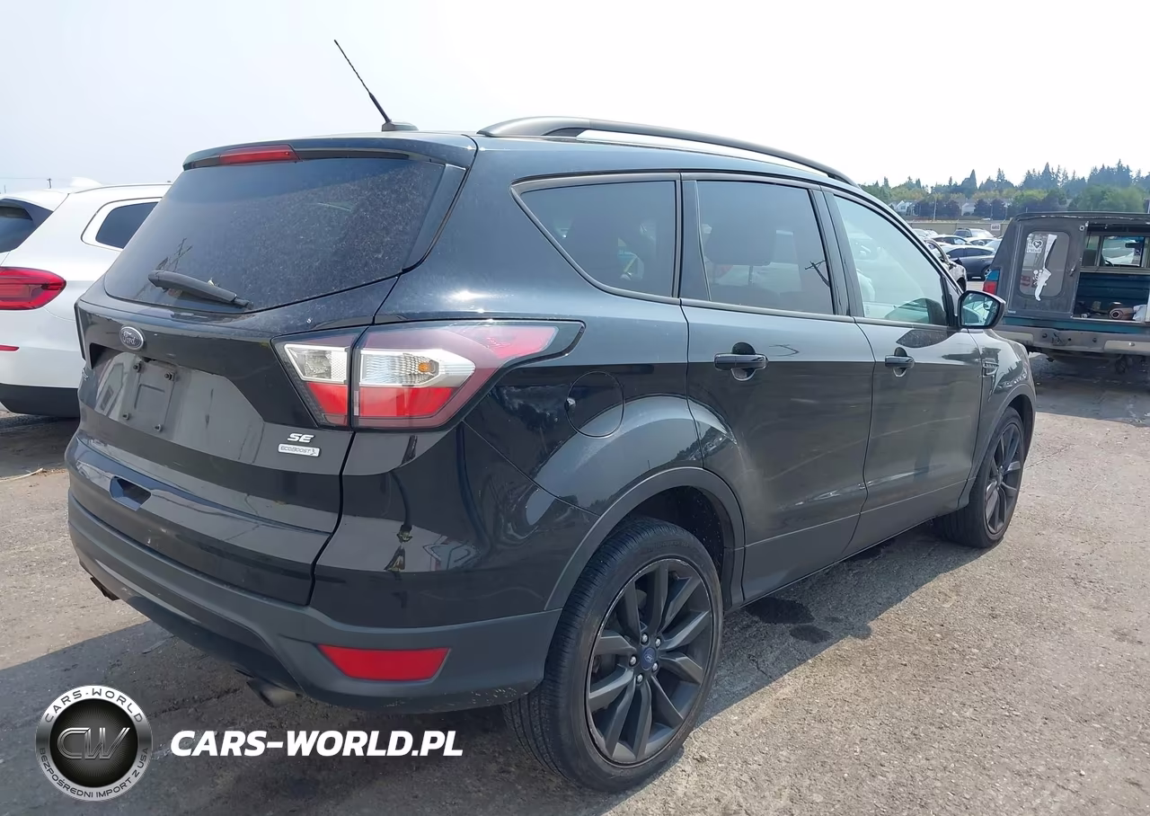 2017 Ford Escape Se VIN:1FMCU0GD0HUC95398 - 4