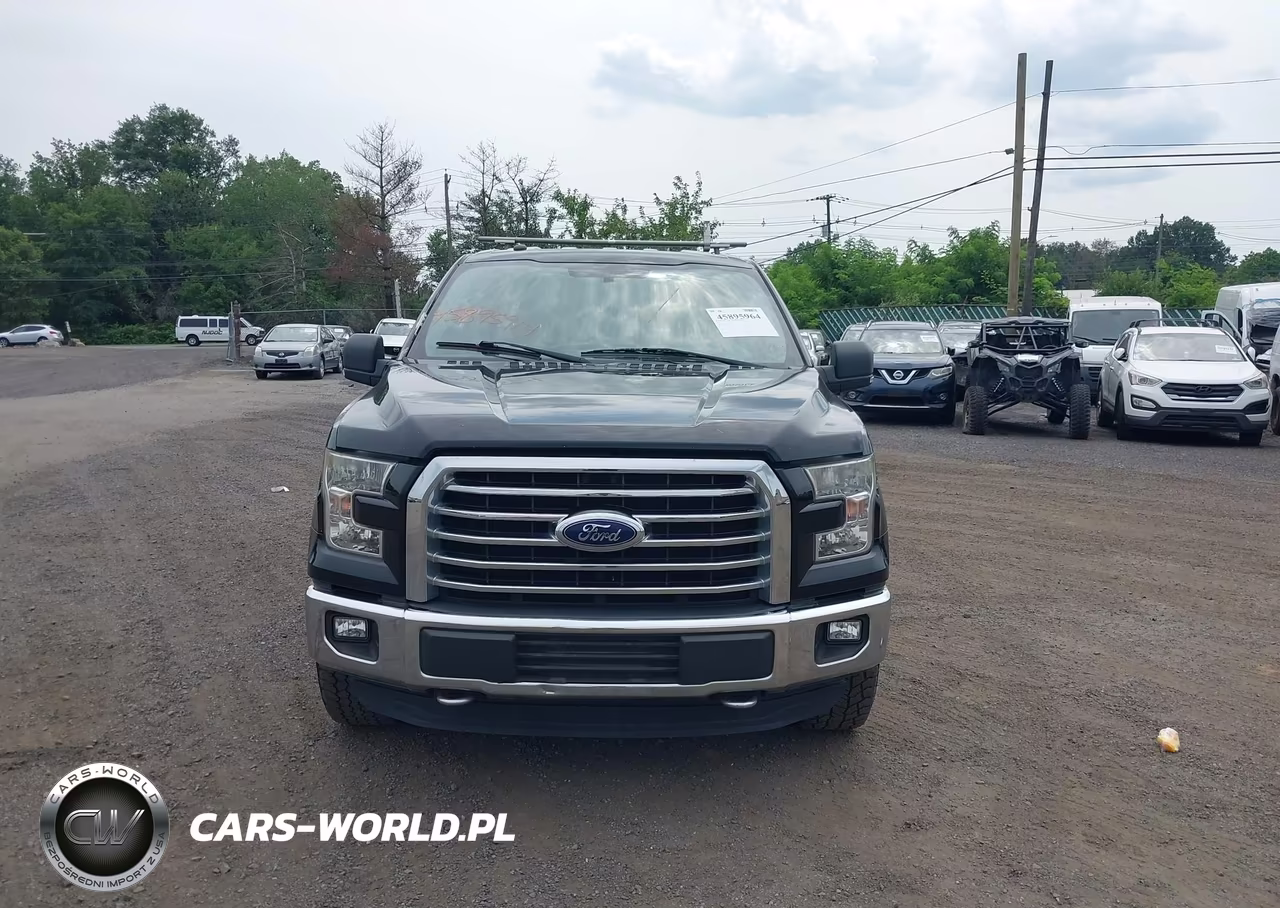 2016 Ford F-150 Xlt VIN:1FTFX1EF8GKD64416 - 12