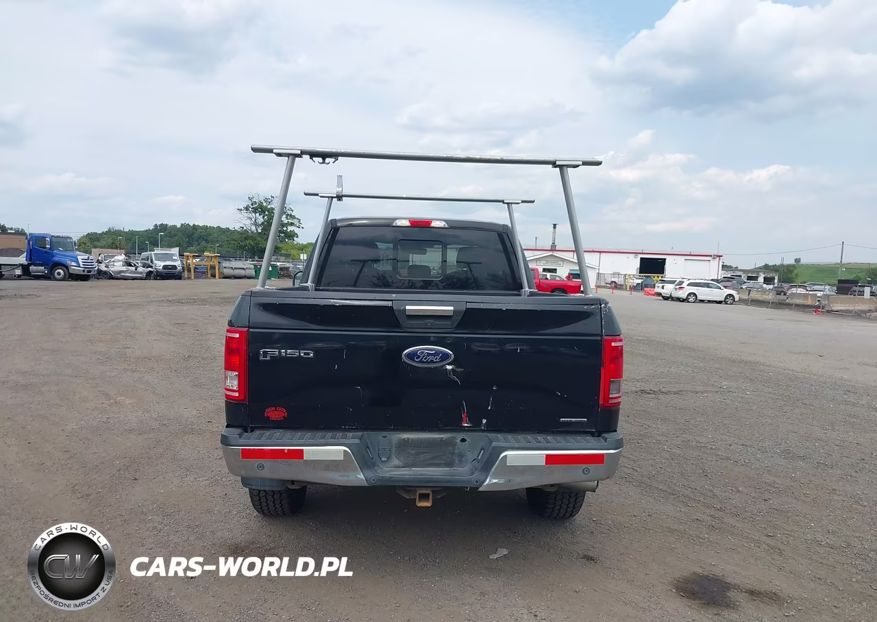 2016 Ford F-150 Xlt VIN:1FTFX1EF8GKD64416 - 16