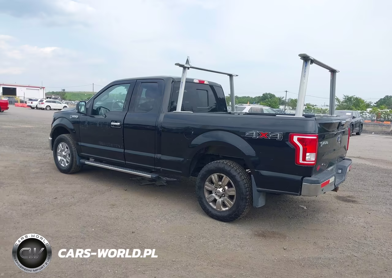 2016 Ford F-150 Xlt VIN:1FTFX1EF8GKD64416 - 3