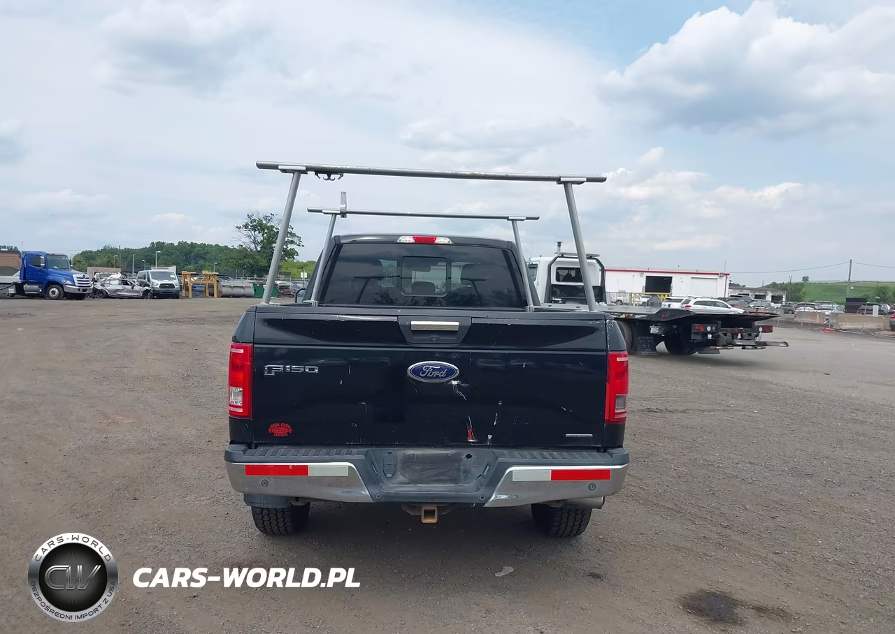 2016 Ford F-150 Xlt VIN:1FTFX1EF8GKD64416 - 6