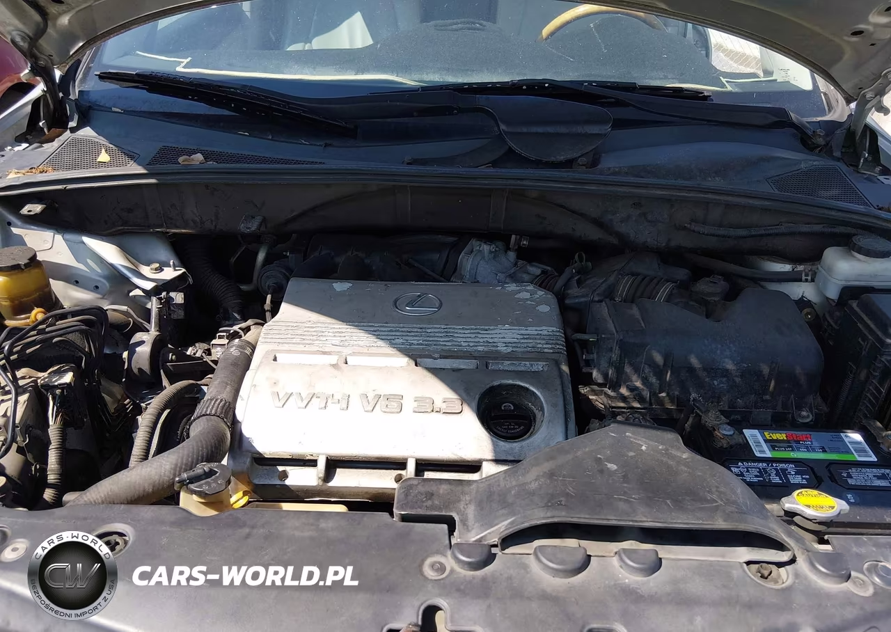 2004 Lexus Rx 330 VIN:2T2GA31U54C018404 - 10