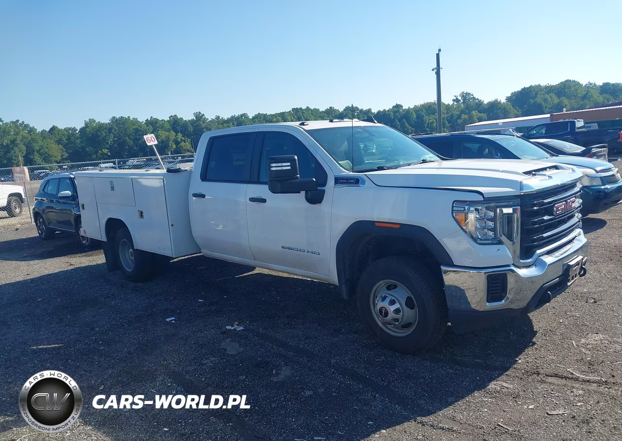 2022 GMC Sierra 3500Hd Chassis Pro VIN:1GD48PE78NF229115 - 13