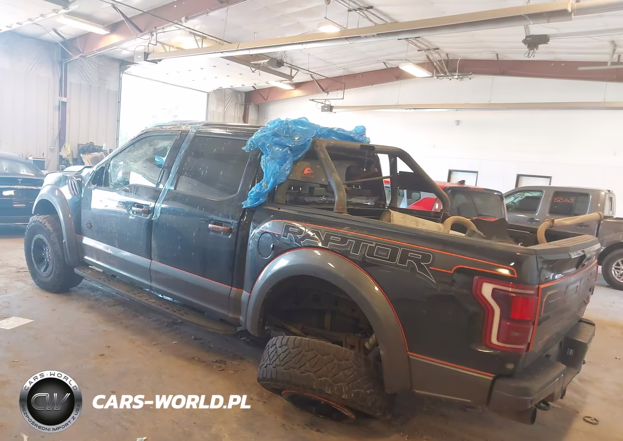 2018 Ford F-150 Raptor VIN:1FTFW1RG9JFD95454 - 3