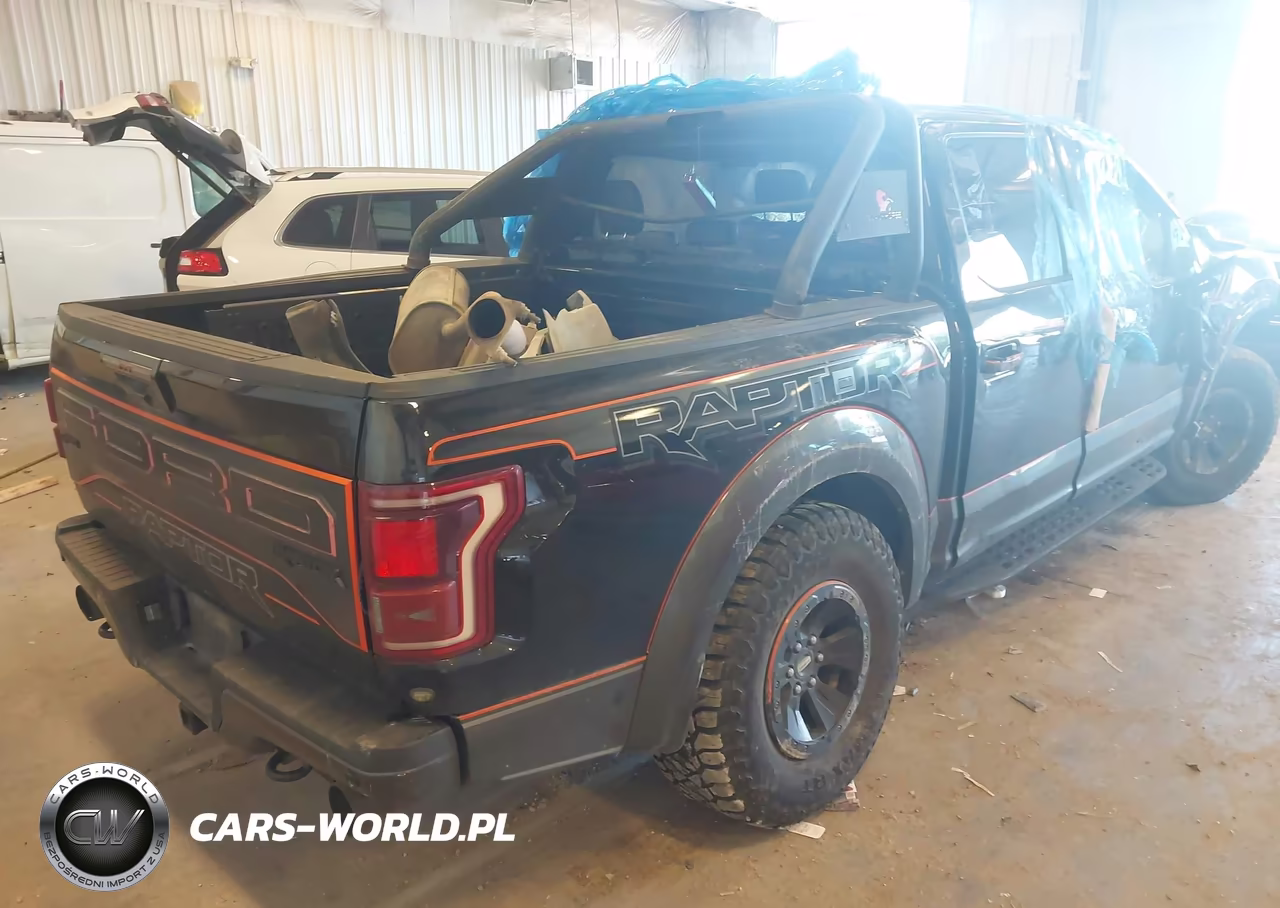 2018 Ford F-150 Raptor VIN:1FTFW1RG9JFD95454 - 4