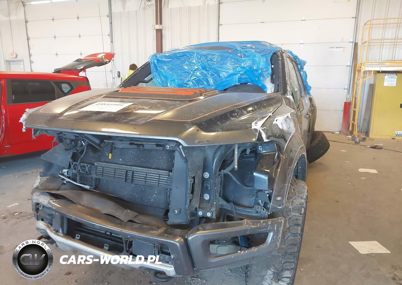 2018 Ford F-150 Raptor VIN:1FTFW1RG9JFD95454 - 6