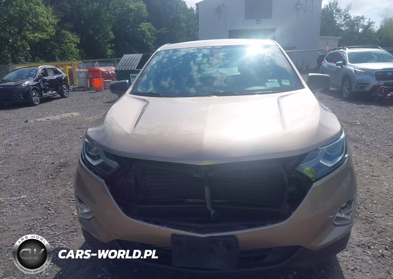2019 Chevrolet Equinox Ls VIN:2GNAXSEV0K6181392 - 12