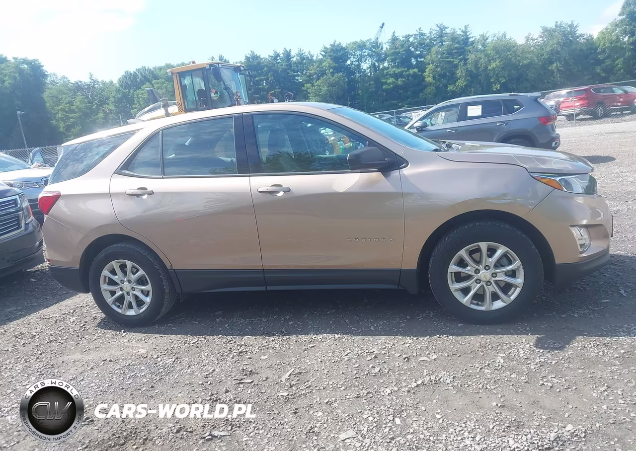 2019 Chevrolet Equinox Ls VIN:2GNAXSEV0K6181392 - 13