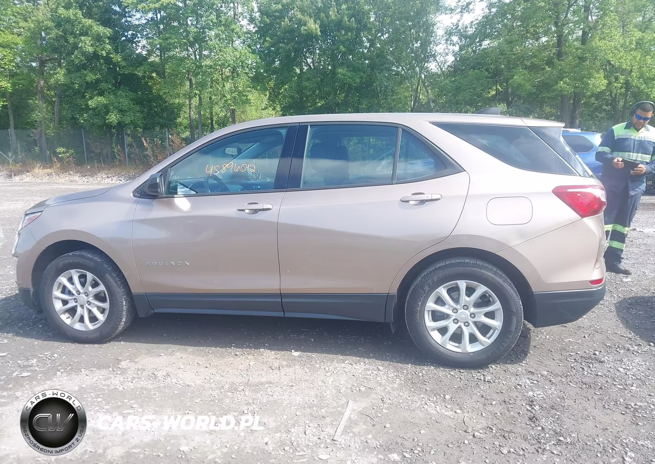 2019 Chevrolet Equinox Ls VIN:2GNAXSEV0K6181392 - 14