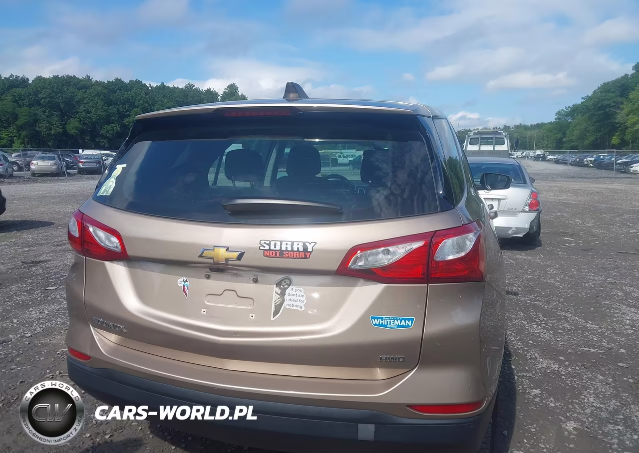 2019 Chevrolet Equinox Ls VIN:2GNAXSEV0K6181392 - 16