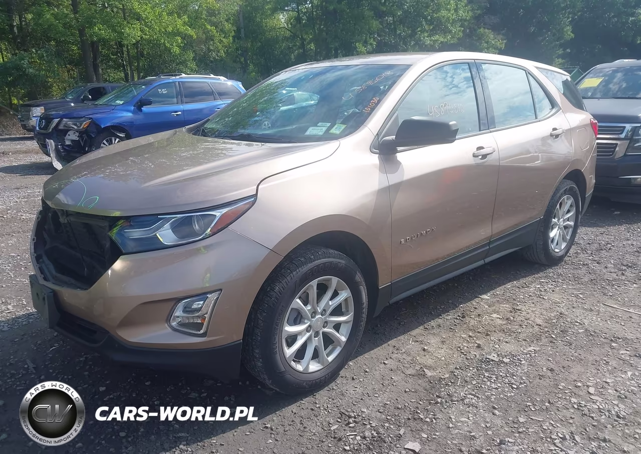 2019 Chevrolet Equinox Ls VIN:2GNAXSEV0K6181392 - 2