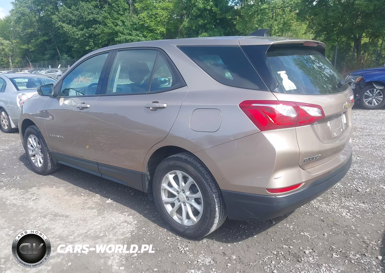 2019 Chevrolet Equinox Ls VIN:2GNAXSEV0K6181392 - 3