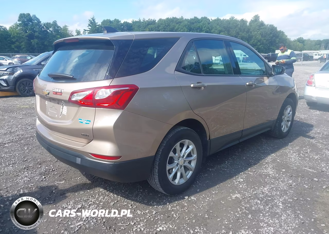 2019 Chevrolet Equinox Ls VIN:2GNAXSEV0K6181392 - 4