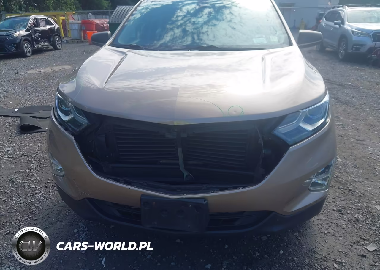 2019 Chevrolet Equinox Ls VIN:2GNAXSEV0K6181392 - 6