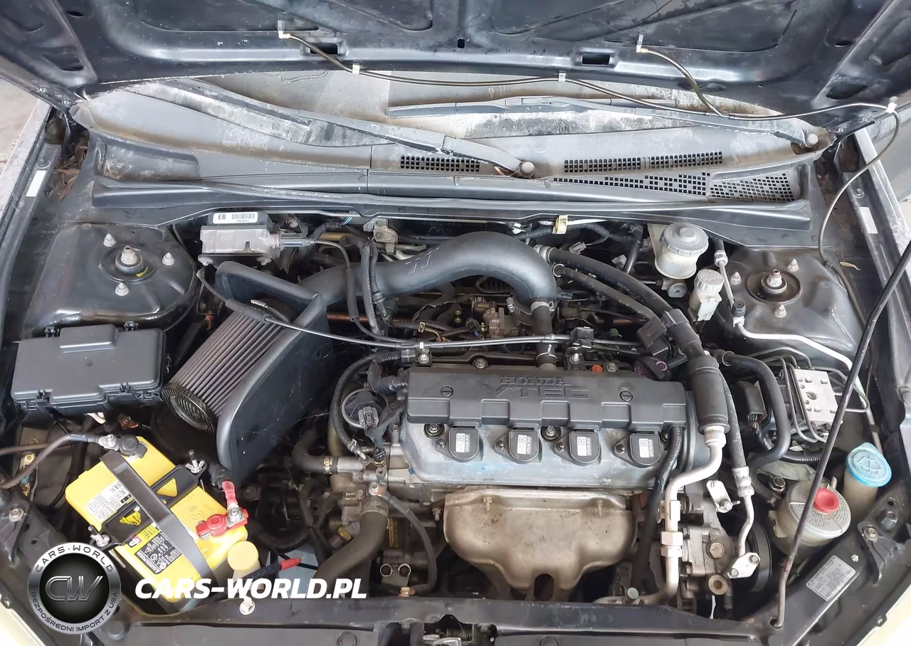 2004 Honda Civic Ex VIN:1HGEM21984L074534 - 10