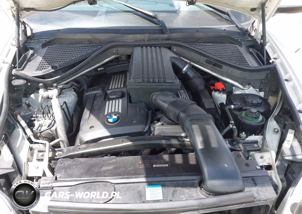 2009 BMW X5 xDrive30I VIN:5UXFE43529L262753 - 10