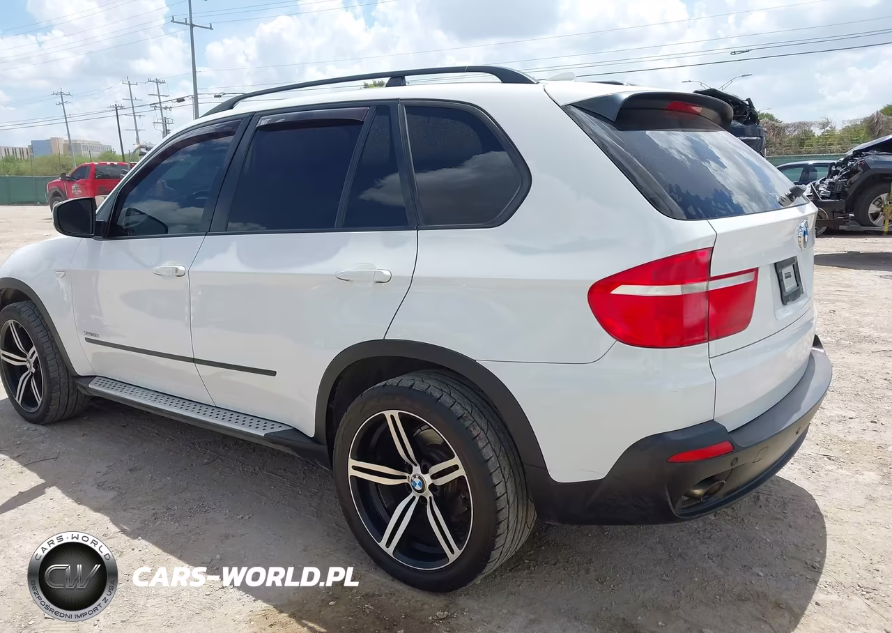 2009 BMW X5 xDrive30I VIN:5UXFE43529L262753 - 3