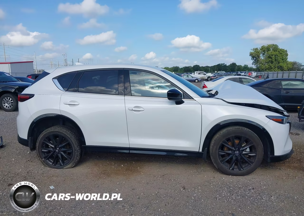 2024 Mazda Cx-5 2.5 Carbon Turbo VIN:JM3KFBAY3R0375330 - 14
