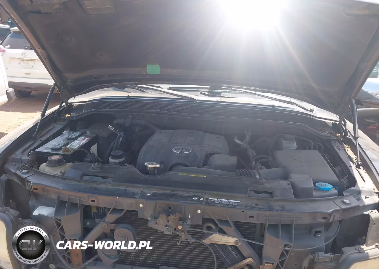 2009 Infiniti Qx56 VIN:5N3AA08C09N903431 - 10
