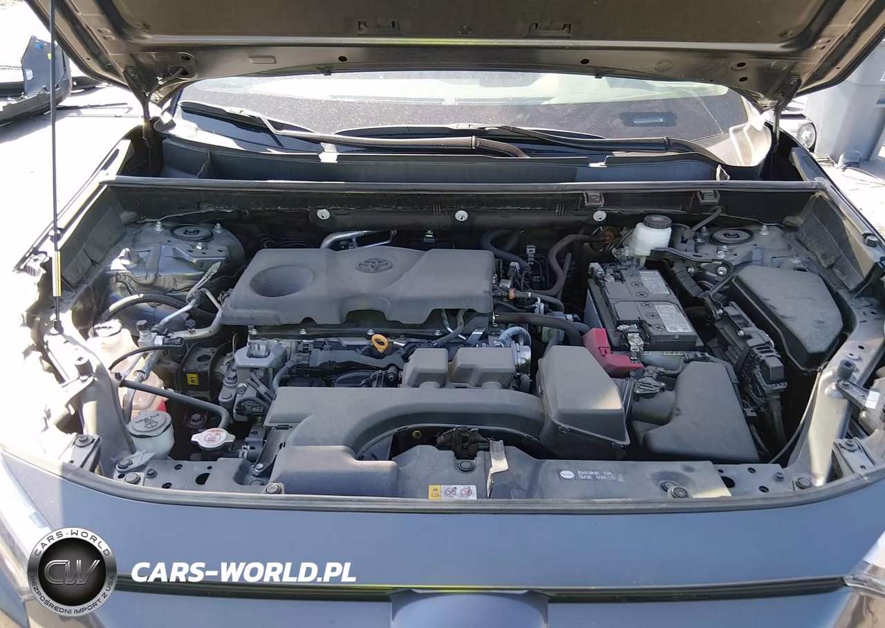 2024 Toyota Rav4 Xle VIN:2T3W1RFV6RC282430 - 10