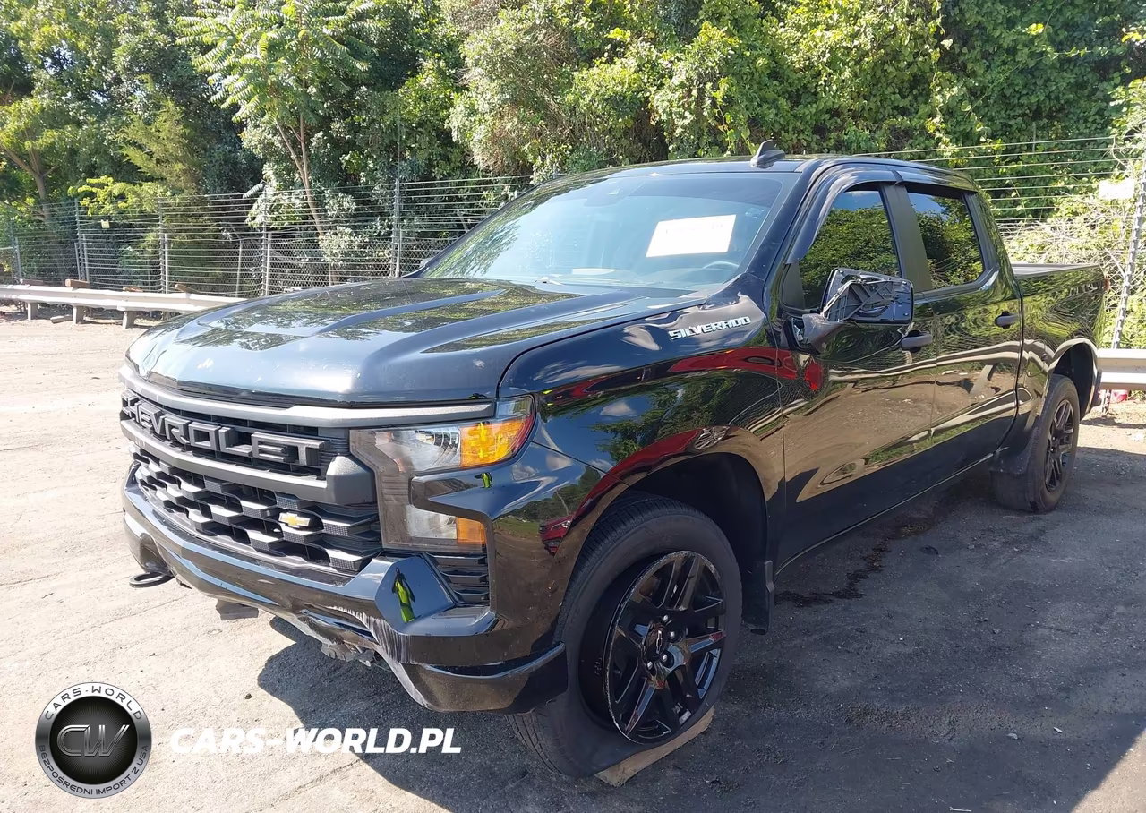 2023 Chevrolet Silverado 1500 2Wd Short Bed Custom VIN:3GCPABEK1PG230265 - 17