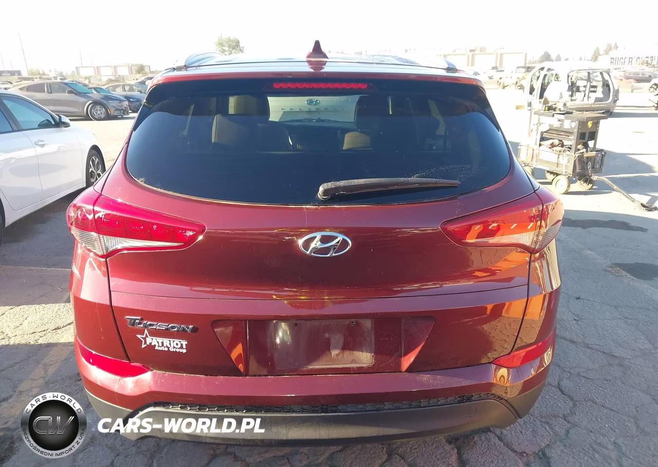 2017 Hyundai Tucson Se Plus VIN:KM8J33A43HU492943 - 16