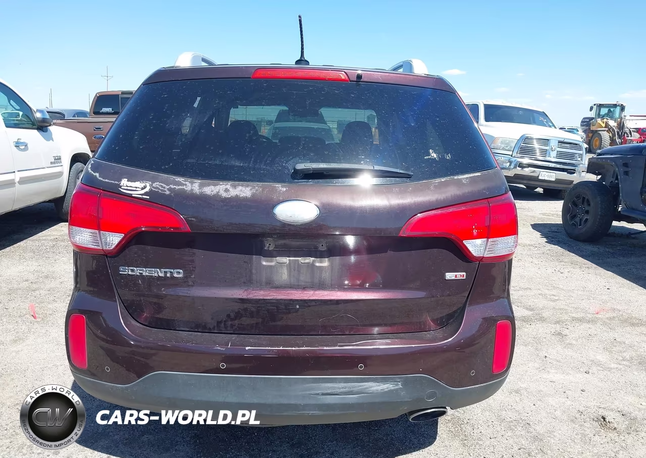 2014 Kia Sorento Lx VIN:5XYKTCA69EG438893 - 17