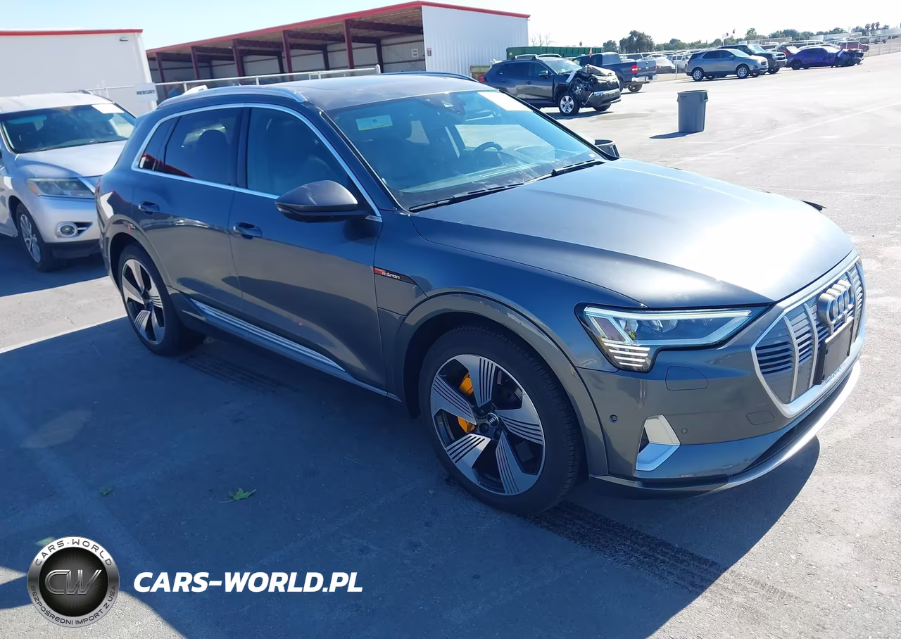 2019 Audi E-Tron Premium Plus – zdjęcie 1 z 18