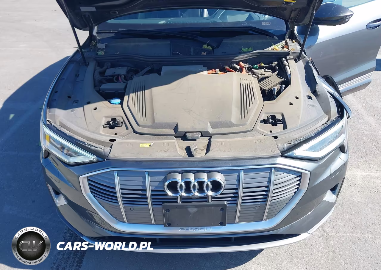 2019 Audi E-Tron Premium Plus VIN:WA1VAAGE1KB006529 - 10