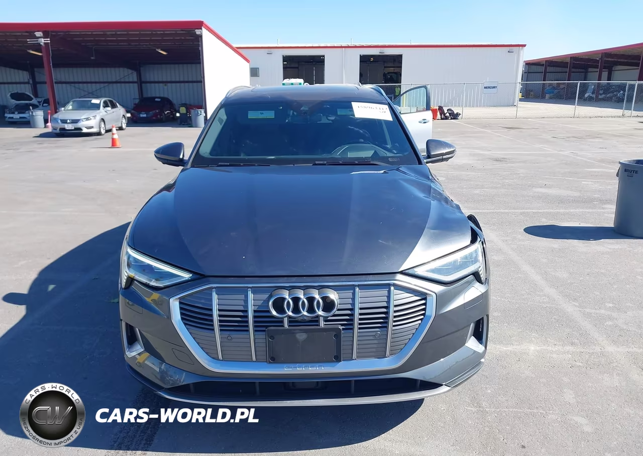 2019 Audi E-Tron Premium Plus VIN:WA1VAAGE1KB006529 - 12