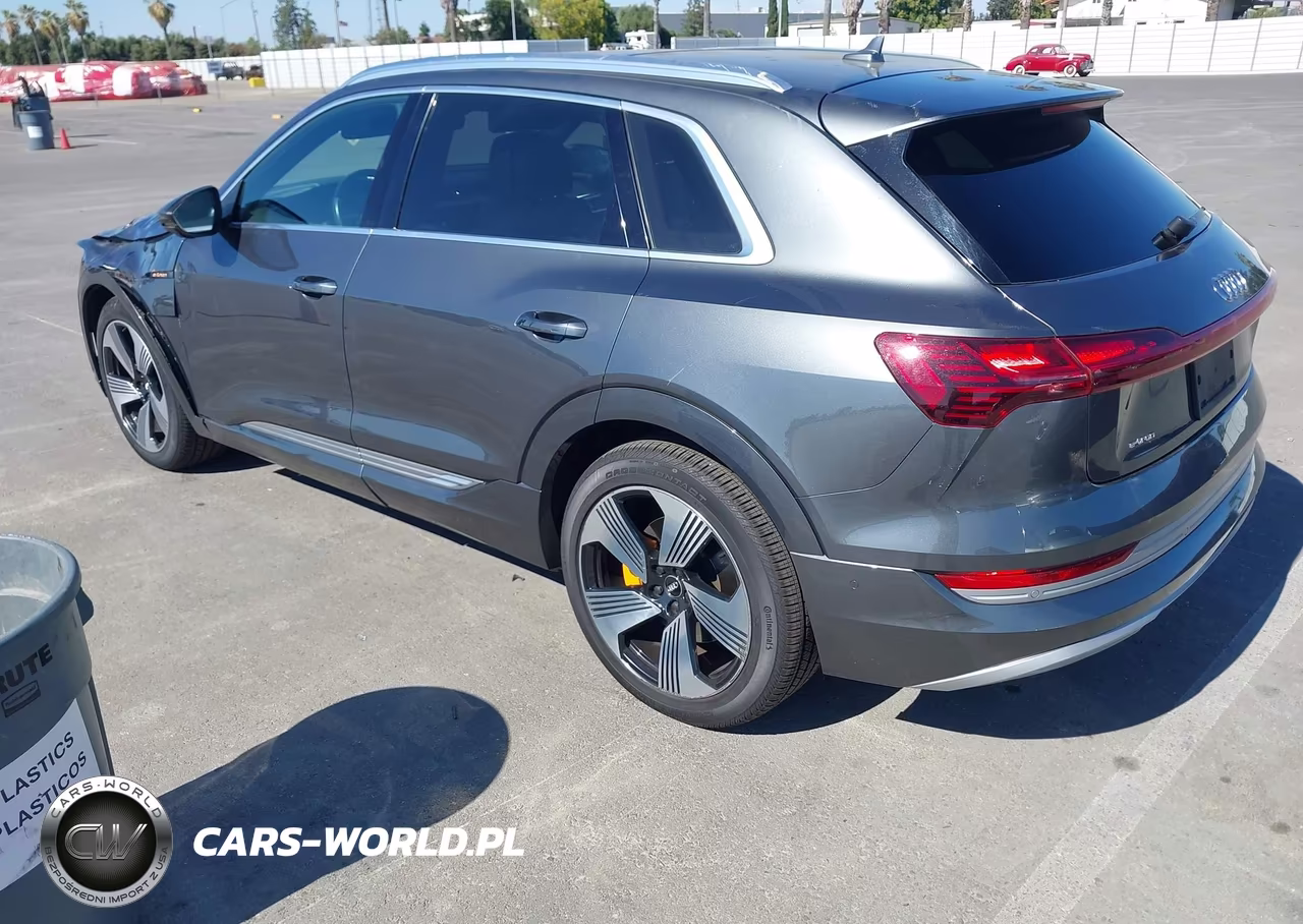 2019 Audi E-Tron Premium Plus VIN:WA1VAAGE1KB006529 - 3