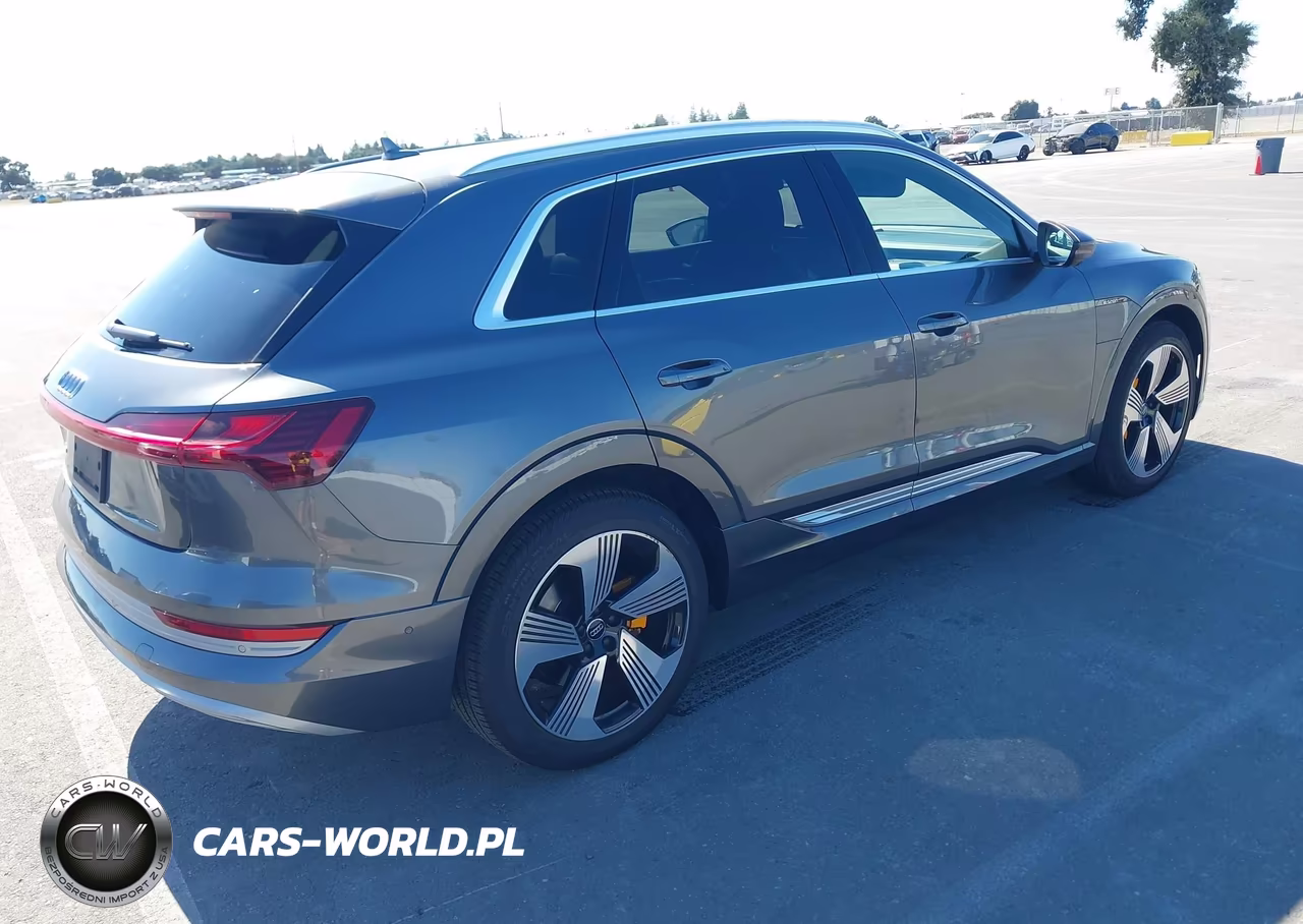 2019 Audi E-Tron Premium Plus VIN:WA1VAAGE1KB006529 - 4