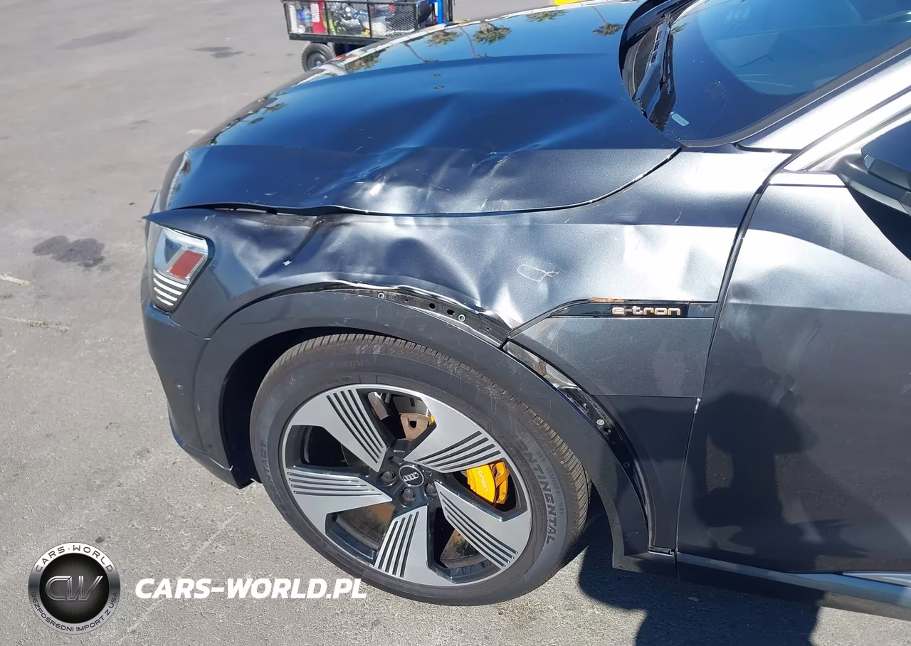 2019 Audi E-Tron Premium Plus VIN:WA1VAAGE1KB006529 - 6