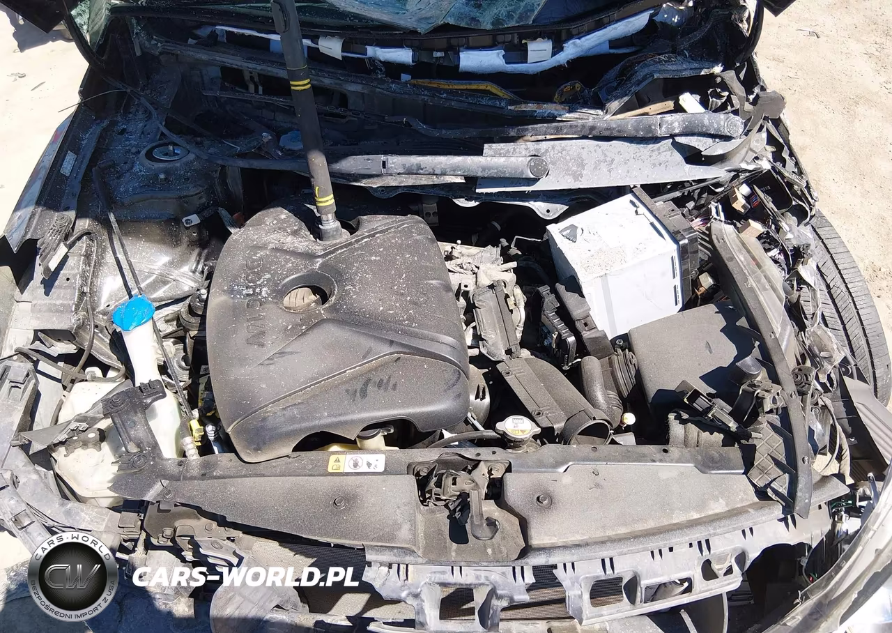 2016 Kia Forte Lx VIN:KNAFX4A65G5442055 - 10