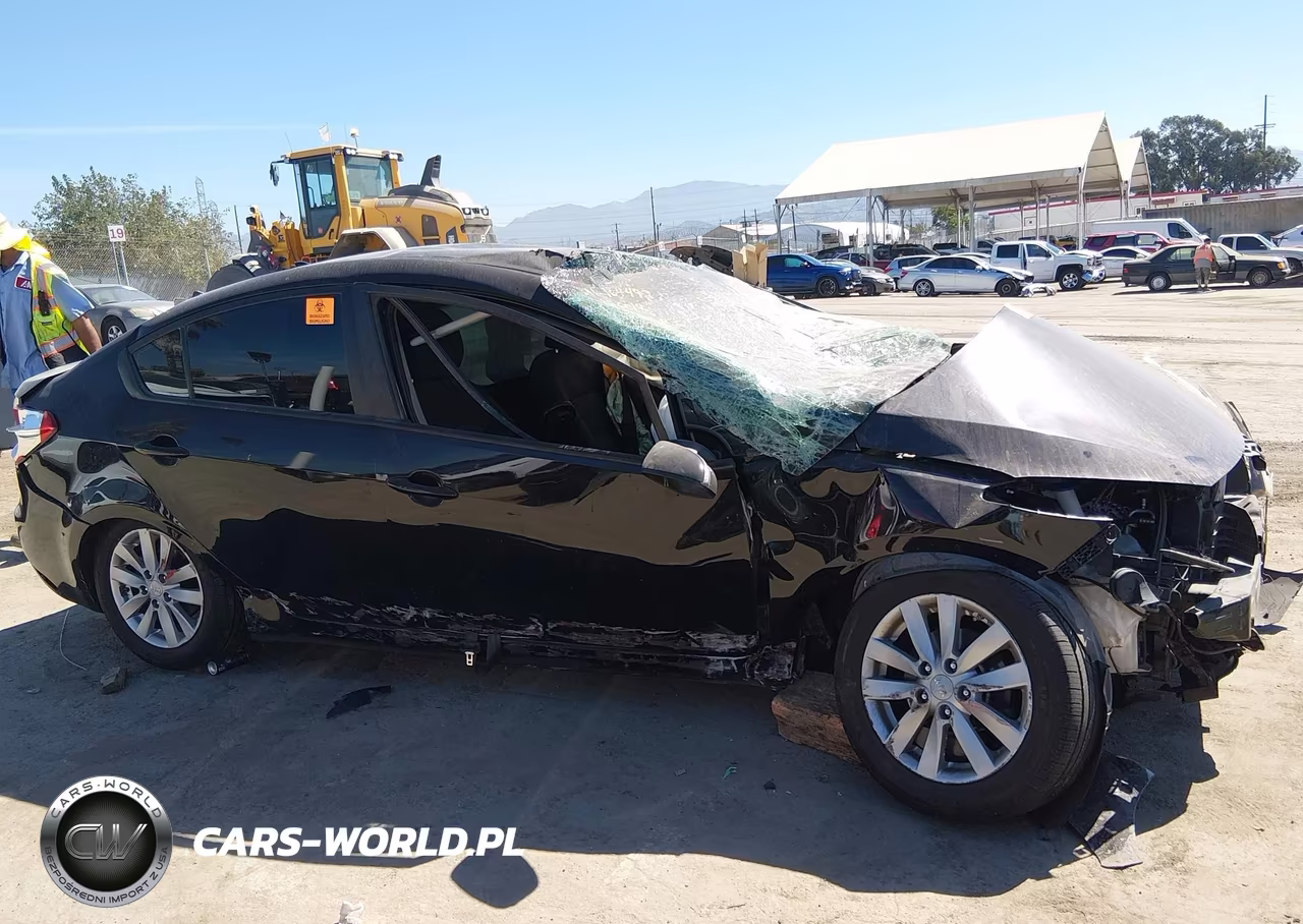 2016 Kia Forte Lx VIN:KNAFX4A65G5442055 - 13