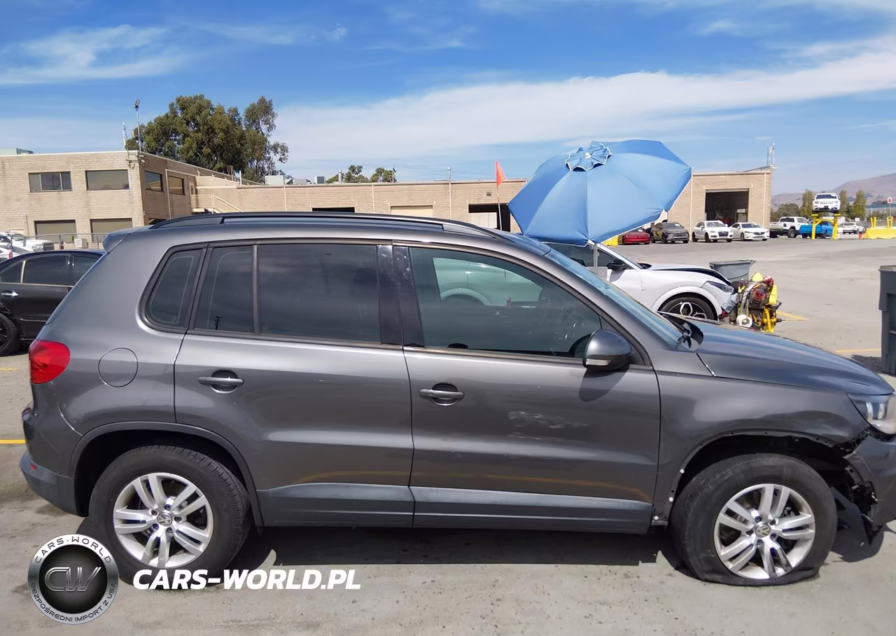 2016 Volkswagen Tiguan S VIN:WVGAV7AX6GW585017 - 13