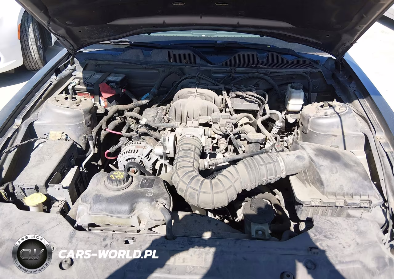 2010 Ford Mustang V6 VIN:1ZVBP8AN6A5164223 - 10