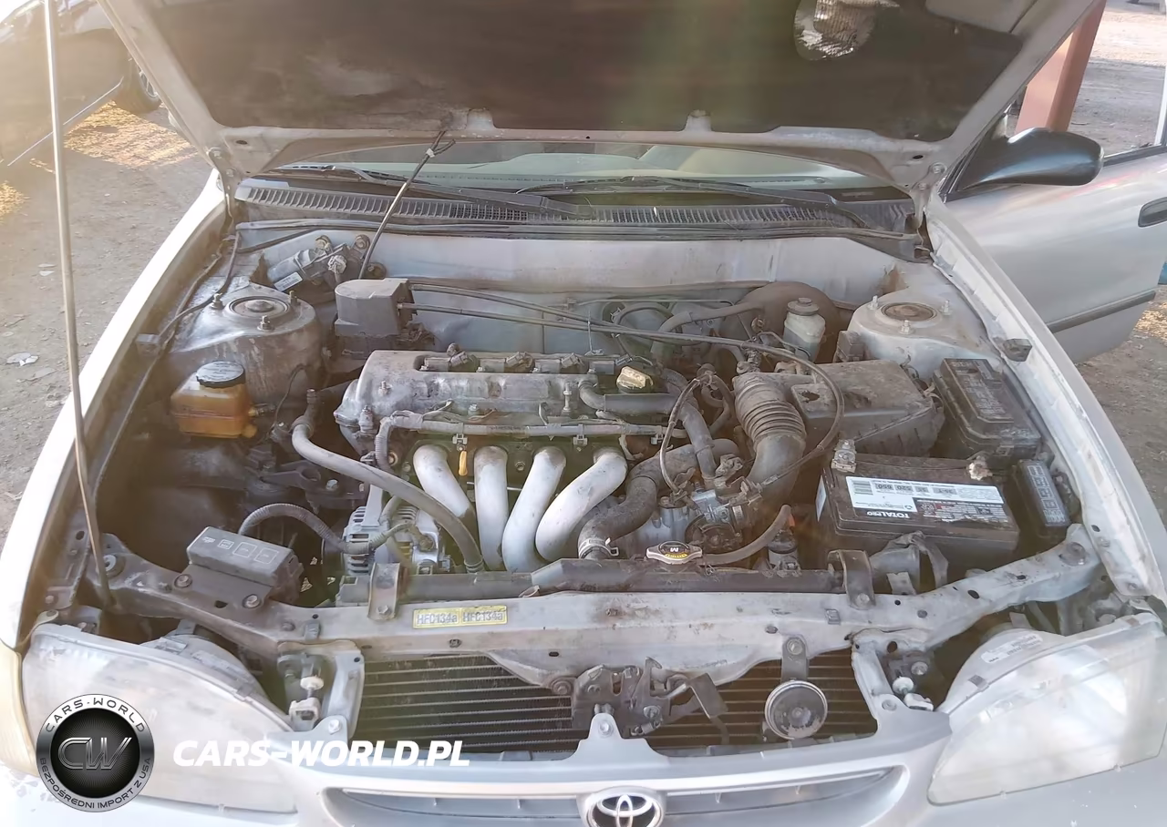2000 Toyota Corolla Ce VIN:1NXBR12E4YZ309984 - 10