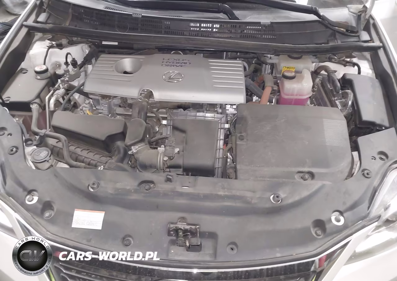 2016 Lexus Ct 200H VIN:JTHKD5BH0G2275703 - 10