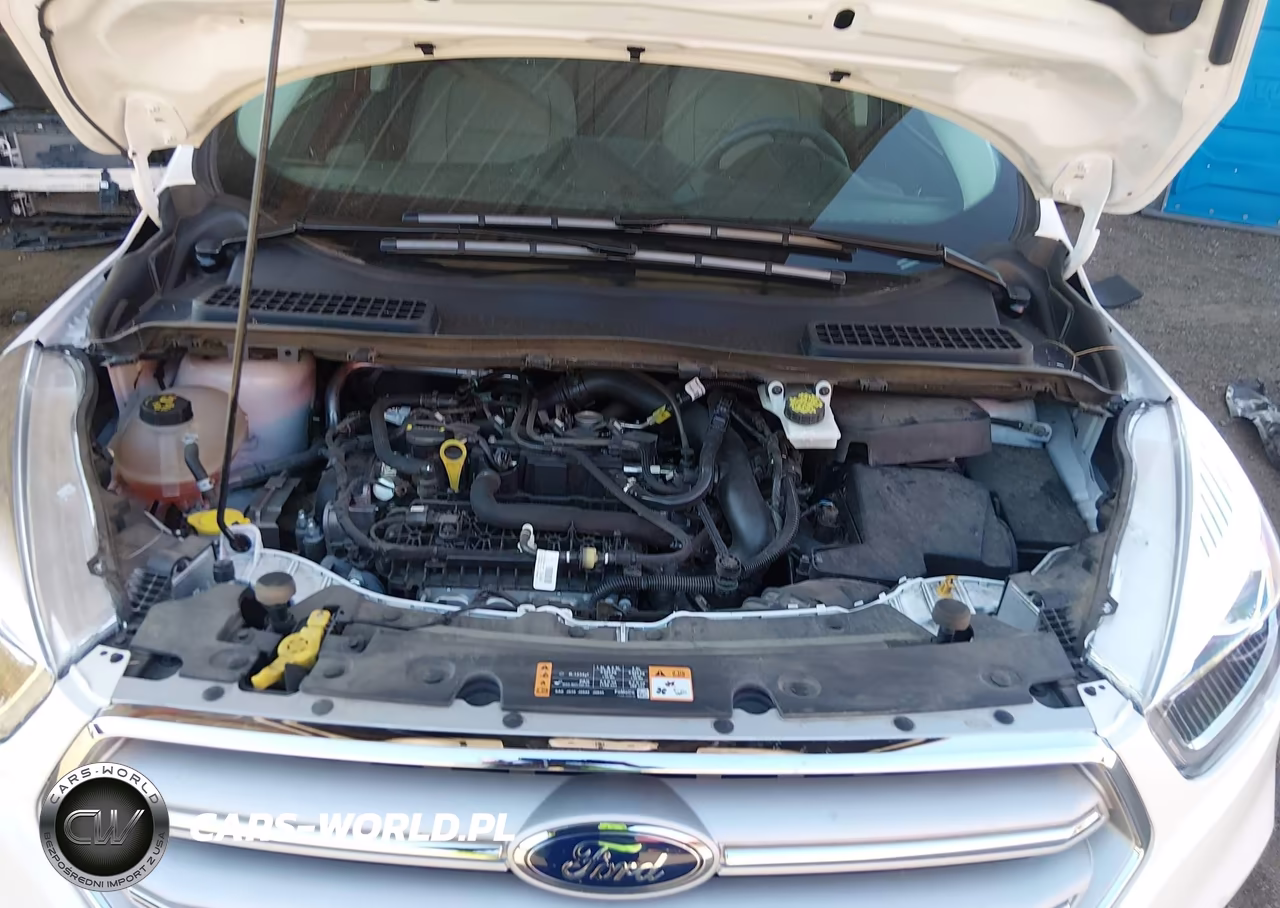 2019 Ford Escape Sel VIN:1FMCU0HD5KUB28489 - 10