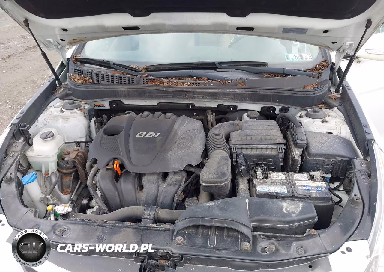 2014 Hyundai Sonata Gls VIN:5NPEB4AC2EH841148 - 10