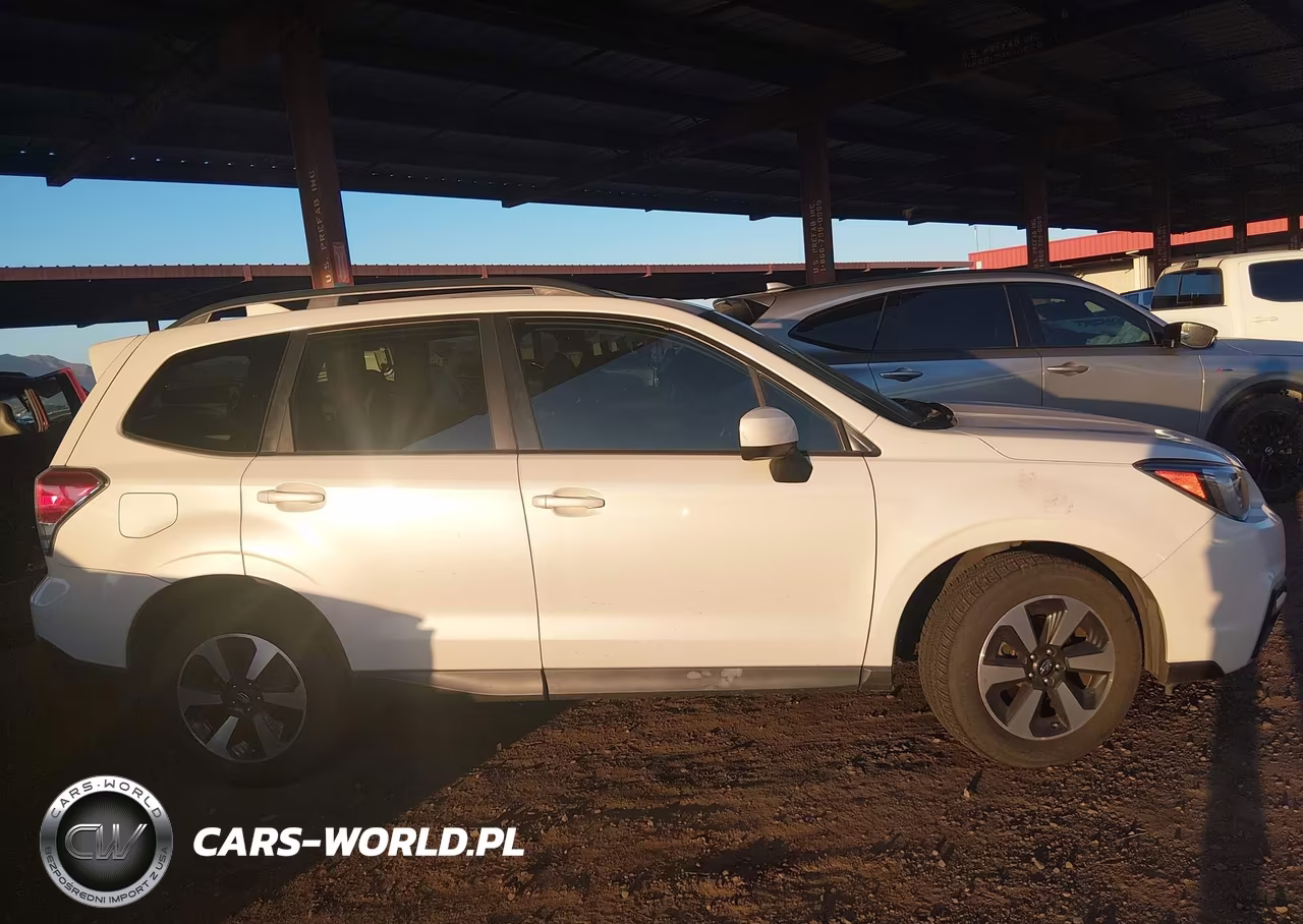 2017 Subaru Forester 2.5I Premium VIN:JF2SJAGC2HH472243 - 13