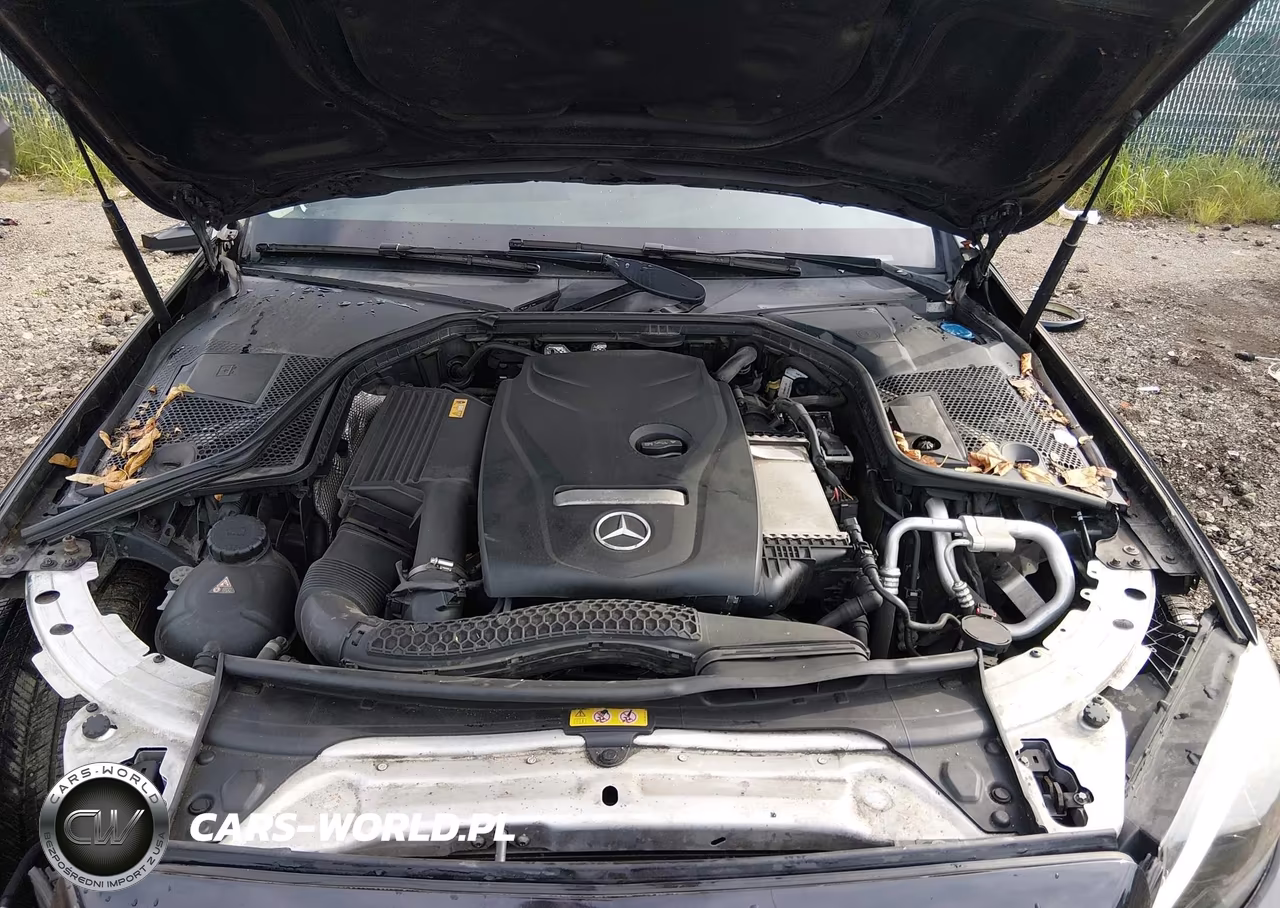 2017 Mercedes-Benz C 300 4Matic VIN:55SWF4KB0HU219616 - 10