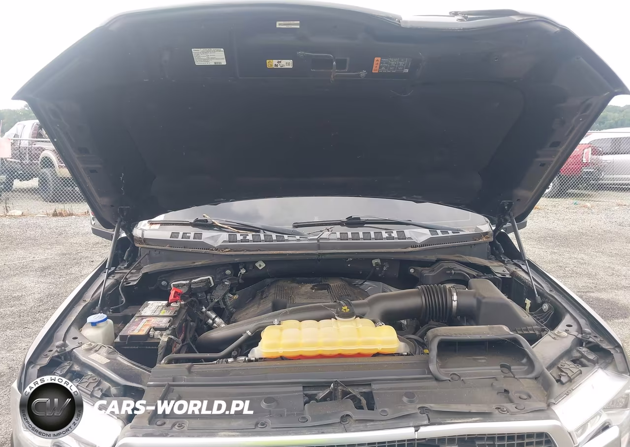 2018 Ford F-150 Platinum VIN:1FTEW1EGXJFC21751 - 10