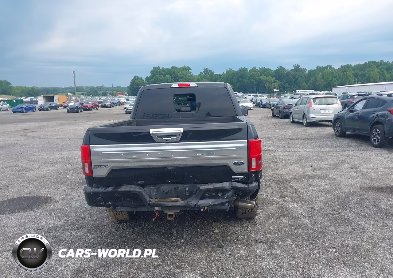 2018 Ford F-150 Platinum VIN:1FTEW1EGXJFC21751 - 15