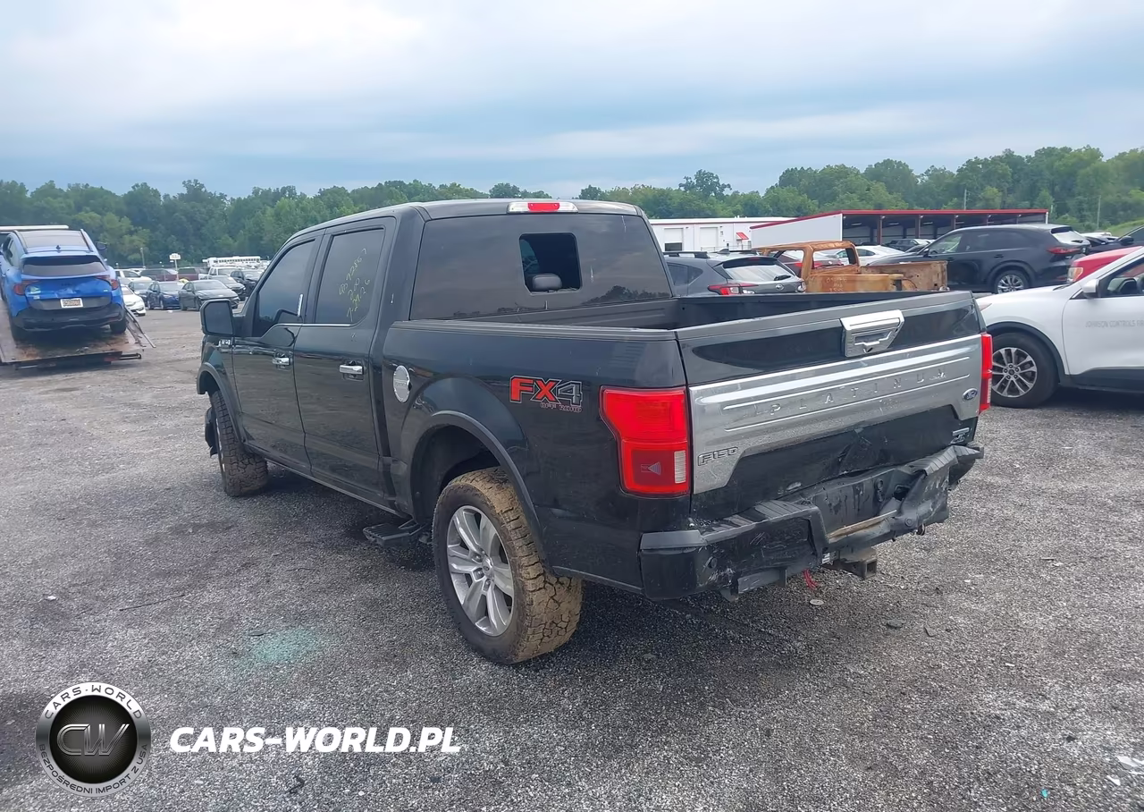 2018 Ford F-150 Platinum VIN:1FTEW1EGXJFC21751 - 3