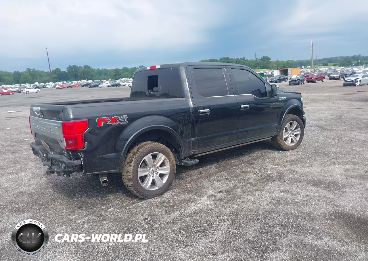 2018 Ford F-150 Platinum VIN:1FTEW1EGXJFC21751 - 4