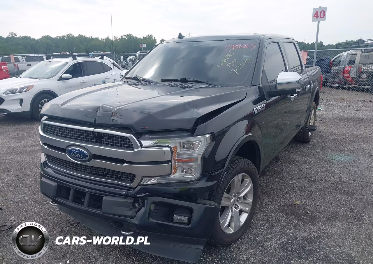2018 Ford F-150 Platinum VIN:1FTEW1EGXJFC21751 - 6