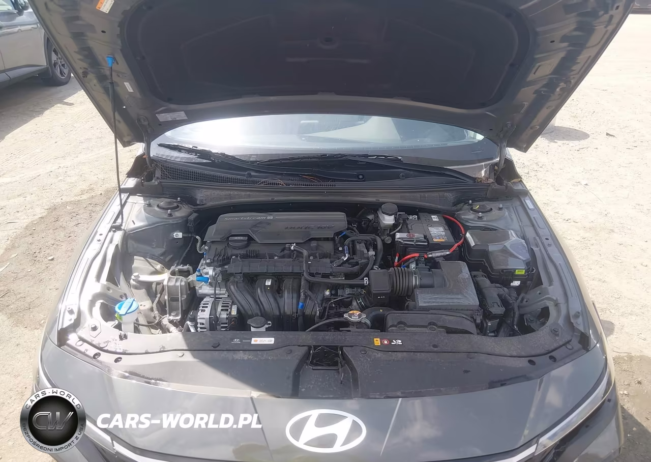 2025 Hyundai Elantra Limited VIN:KMHLP4DG9SU038745 - 10